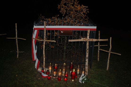 Grafika #0: Wieczornica z okazji Święta Niepodległości