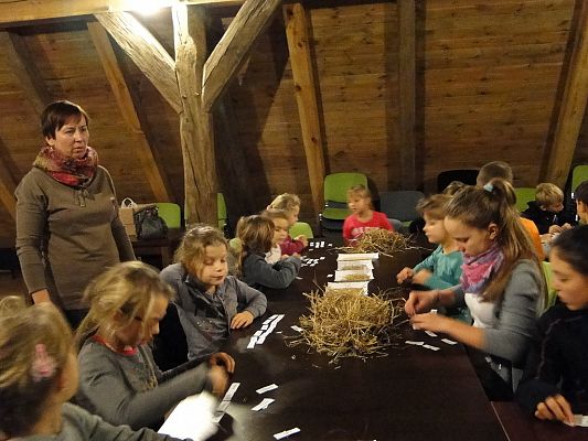 Grafika #2: Wycieczka do Krainy w Kratę