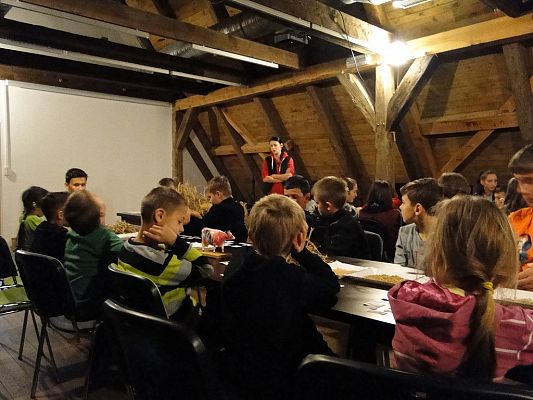 Grafika #3: Wycieczka do Krainy w Kratę