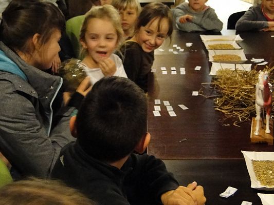 Grafika #4: Wycieczka do Krainy w Kratę