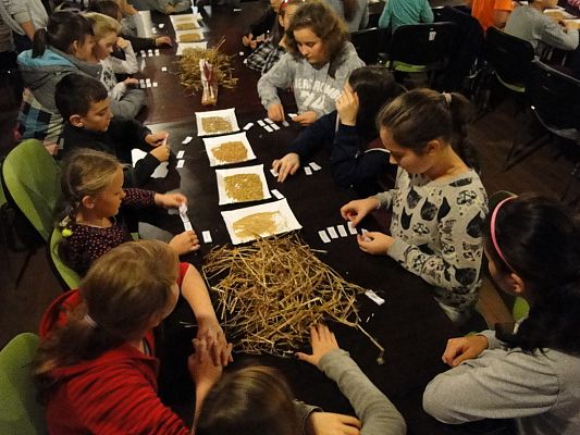 Grafika #5: Wycieczka do Krainy w Kratę