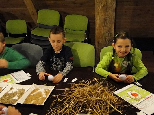 Grafika #6: Wycieczka do Krainy w Kratę