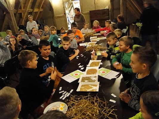 Grafika #8: Wycieczka do Krainy w Kratę