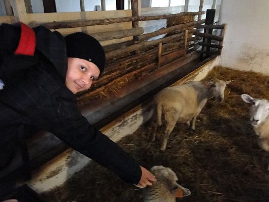 Grafika #9: Wycieczka do Krainy w Kratę