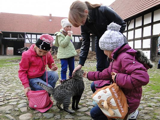Grafika #10: Wycieczka do Krainy w Kratę