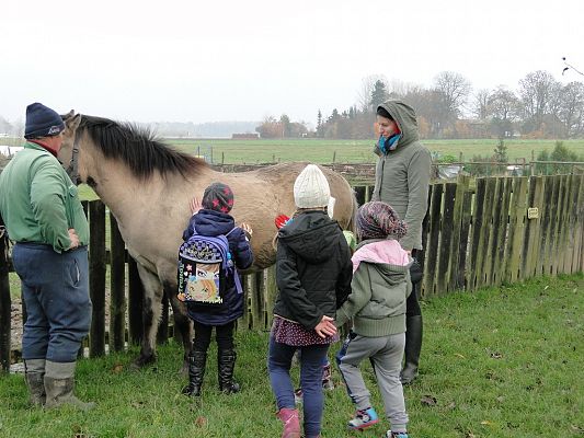 Grafika #13: Wycieczka do Krainy w Kratę