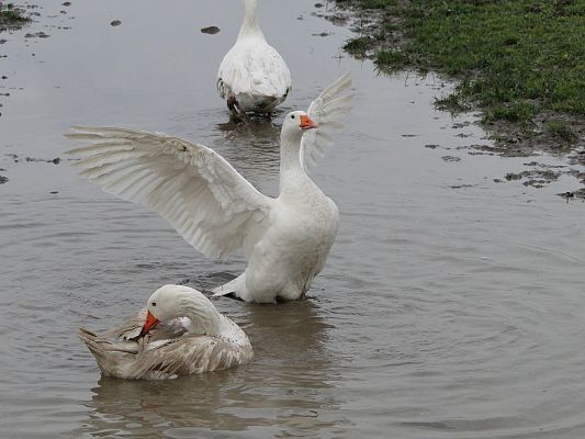 Grafika #14: Wycieczka do Krainy w Kratę