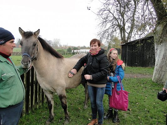 Grafika #15: Wycieczka do Krainy w Kratę