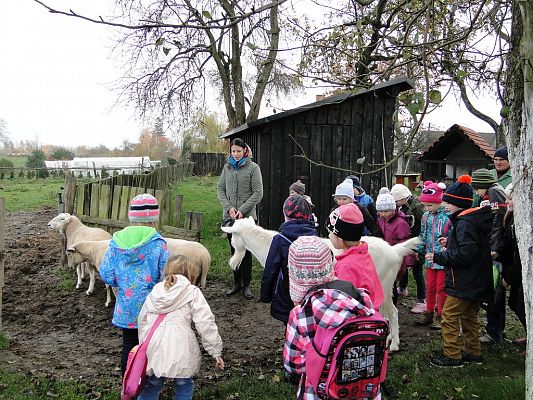 Grafika #16: Wycieczka do Krainy w Kratę