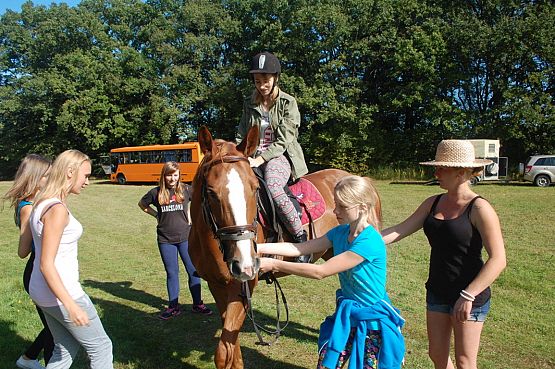 Grafika #6: Dzień życia w średniowiecznym obozie wojskowym - Święcino