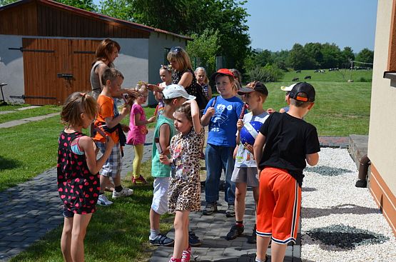 Grafika #0: Piknik klasy pierwszej