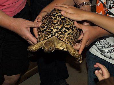 Grafika #0: Wycieczka do Tuchlina