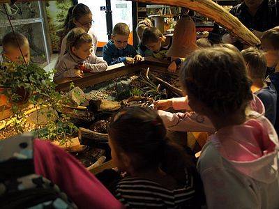 Grafika #1: Wycieczka do Tuchlina