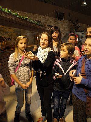 Grafika #2: Wycieczka do Tuchlina