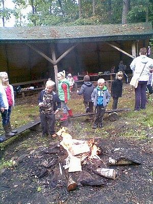 Grafika #3: Przyrodnicza wycieczka klas pierwszych i drugich