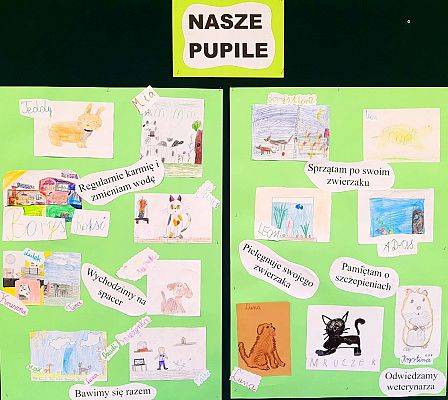 Grafika #18: Mój pupil